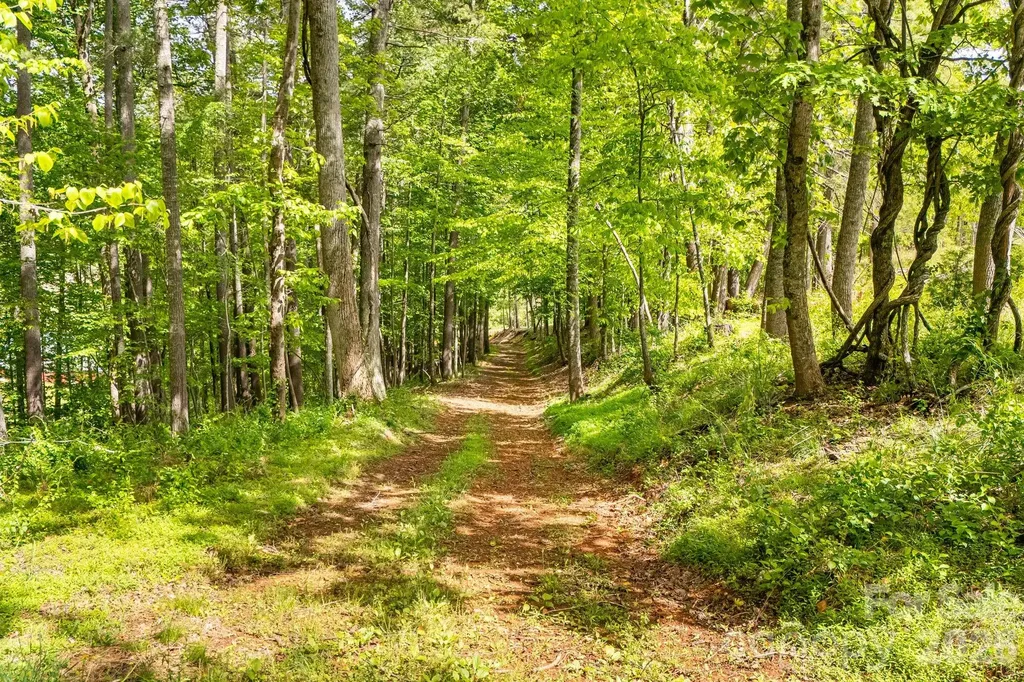 Tbd California Creek Road Mars Hill NC 28754