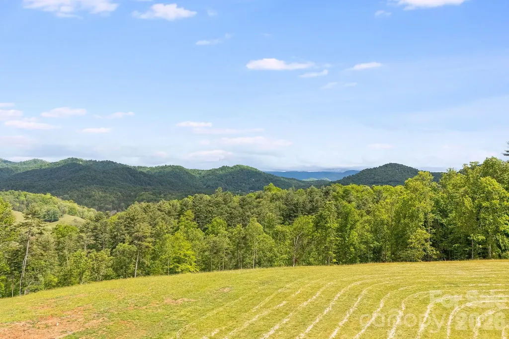 Tbd California Creek Road Mars Hill NC 28754