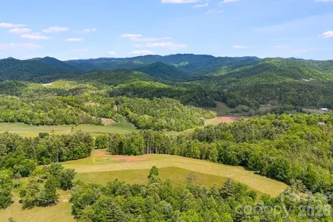 Tbd California Creek Road Mars Hill NC 28754
