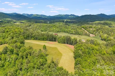 Tbd California Creek Road Mars Hill NC 28754