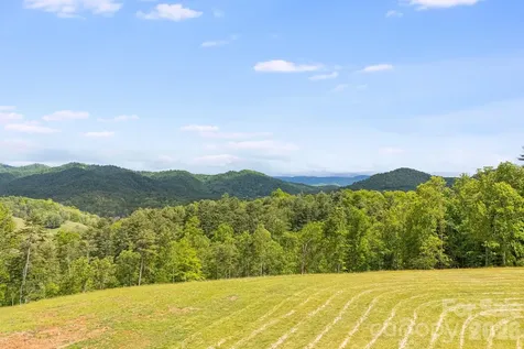 Tbd California Creek Road Mars Hill NC 28754
