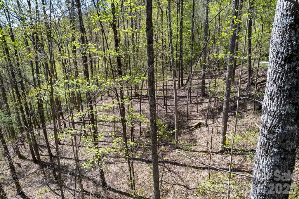Lot 277 Pepperbush Lane Tuckasegee NC 28783