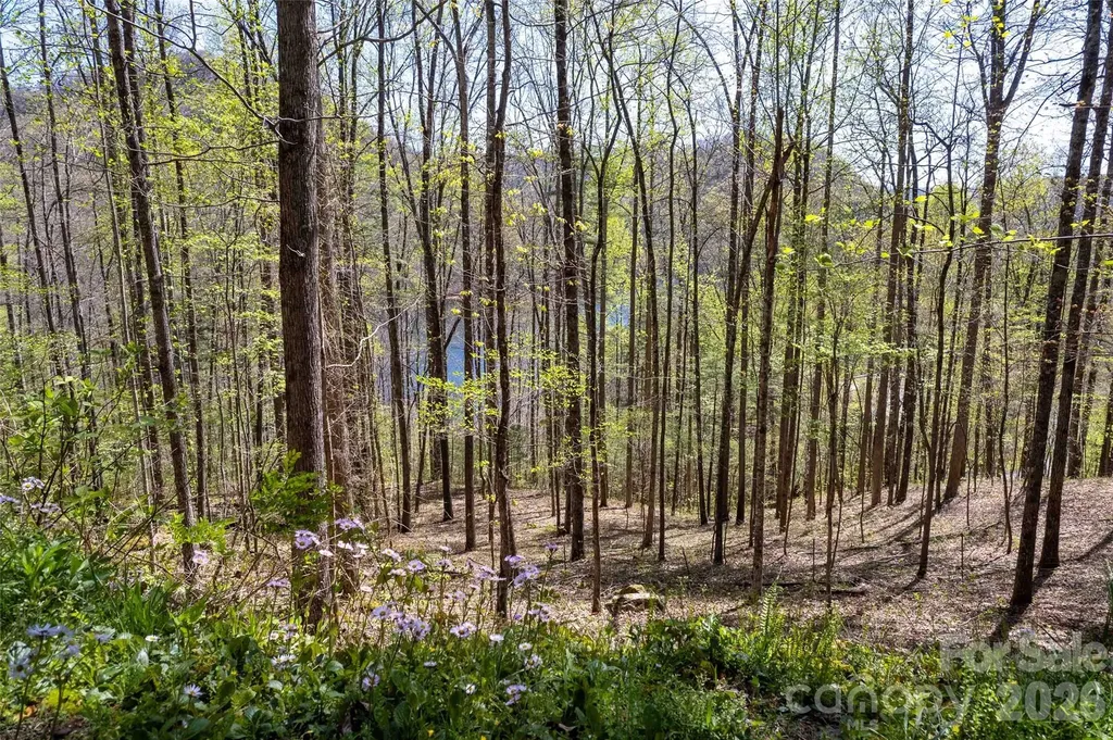 Lot 277 Pepperbush Lane Tuckasegee NC 28783