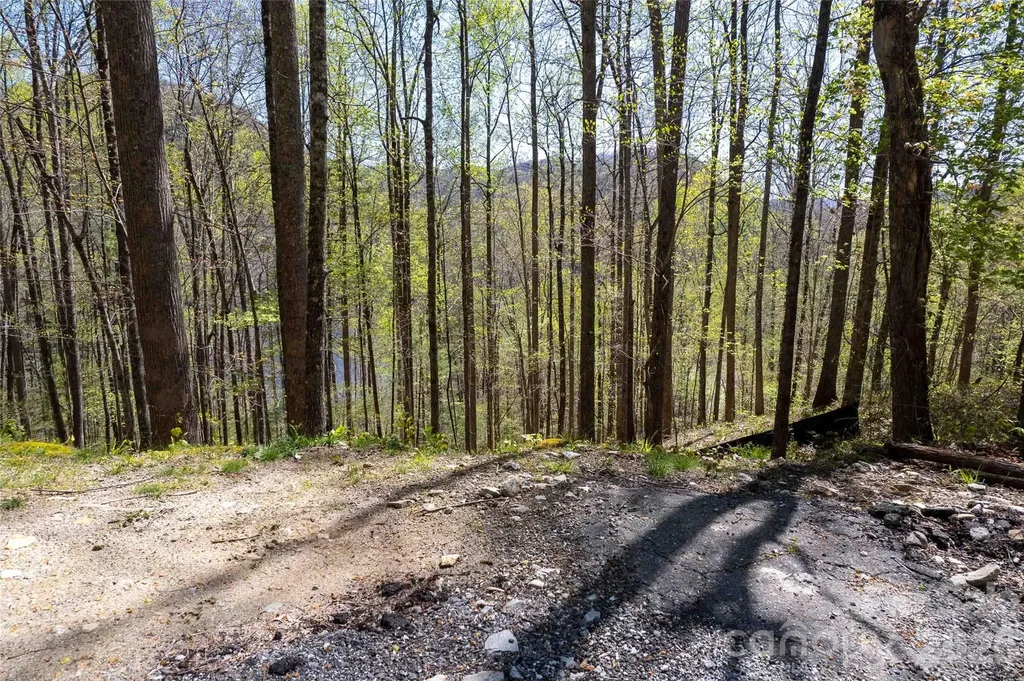 Lot 277 Pepperbush Lane Tuckasegee NC 28783