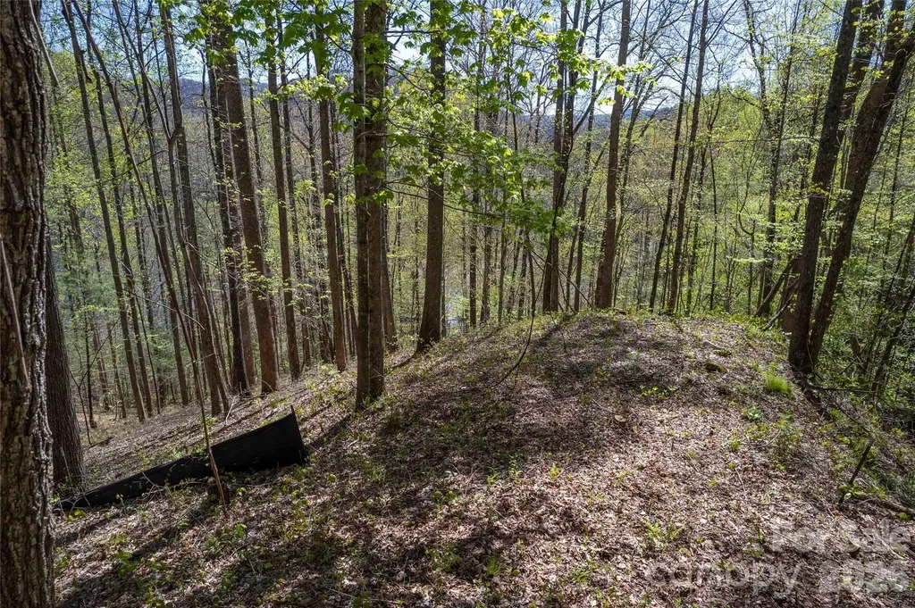 Lot 277 Pepperbush Lane Tuckasegee NC 28783