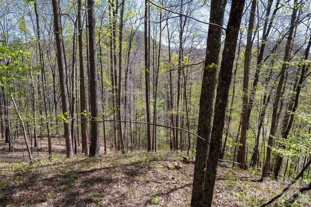 Lot 277 Pepperbush Lane Tuckasegee NC 28783