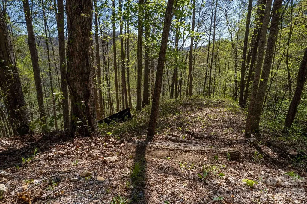 Lot 277 Pepperbush Lane Tuckasegee NC 28783