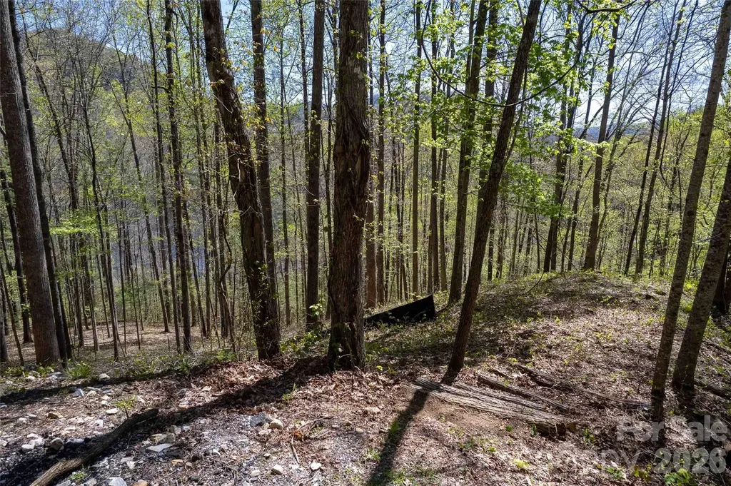 Lot 277 Pepperbush Lane Tuckasegee NC 28783
