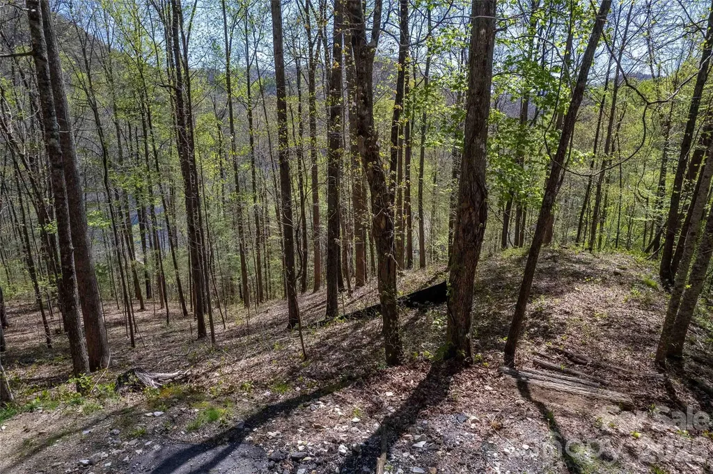 Lot 277 Pepperbush Lane Tuckasegee NC 28783