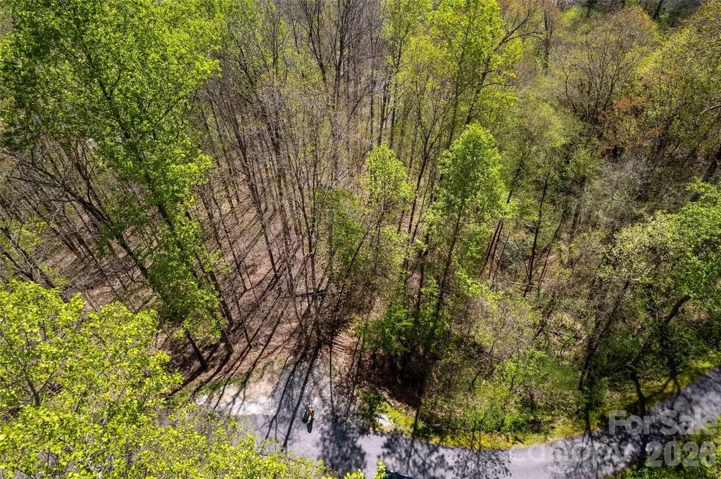 Lot 277 Pepperbush Lane Tuckasegee NC 28783