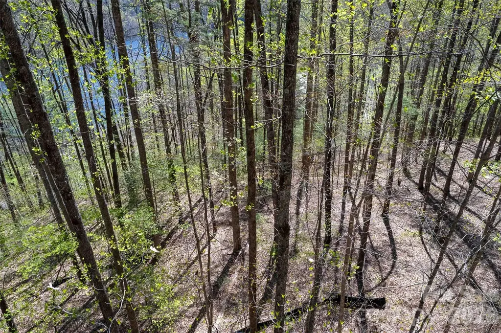 Lot 277 Pepperbush Lane Tuckasegee NC 28783