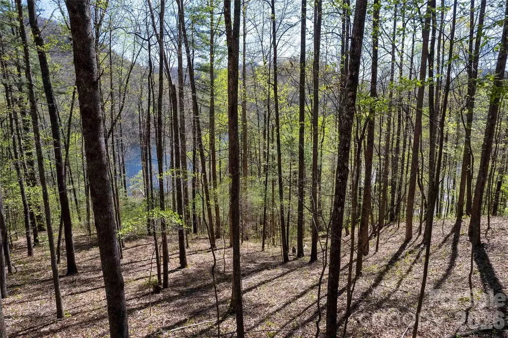 Lot 277 Pepperbush Lane Tuckasegee NC 28783