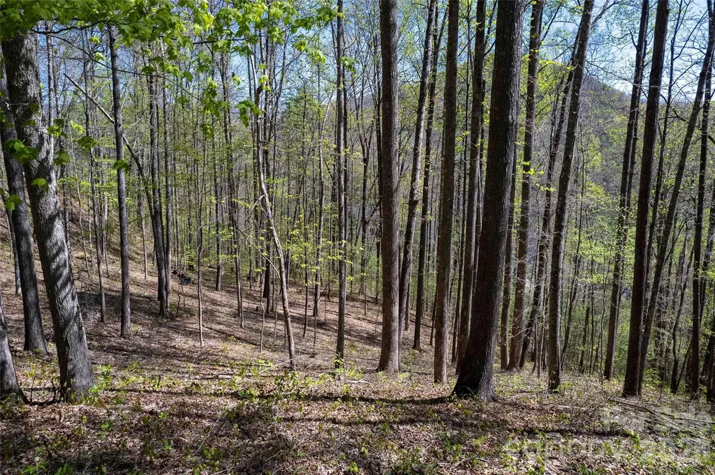 Lot 277 Pepperbush Lane Tuckasegee NC 28783