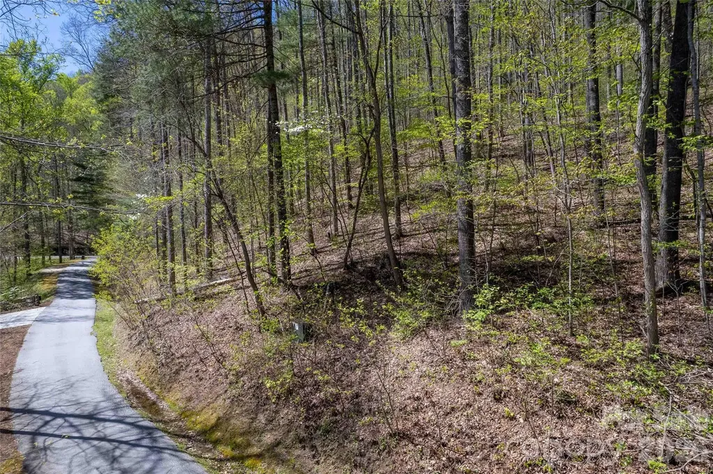 Lot 277 Pepperbush Lane Tuckasegee NC 28783