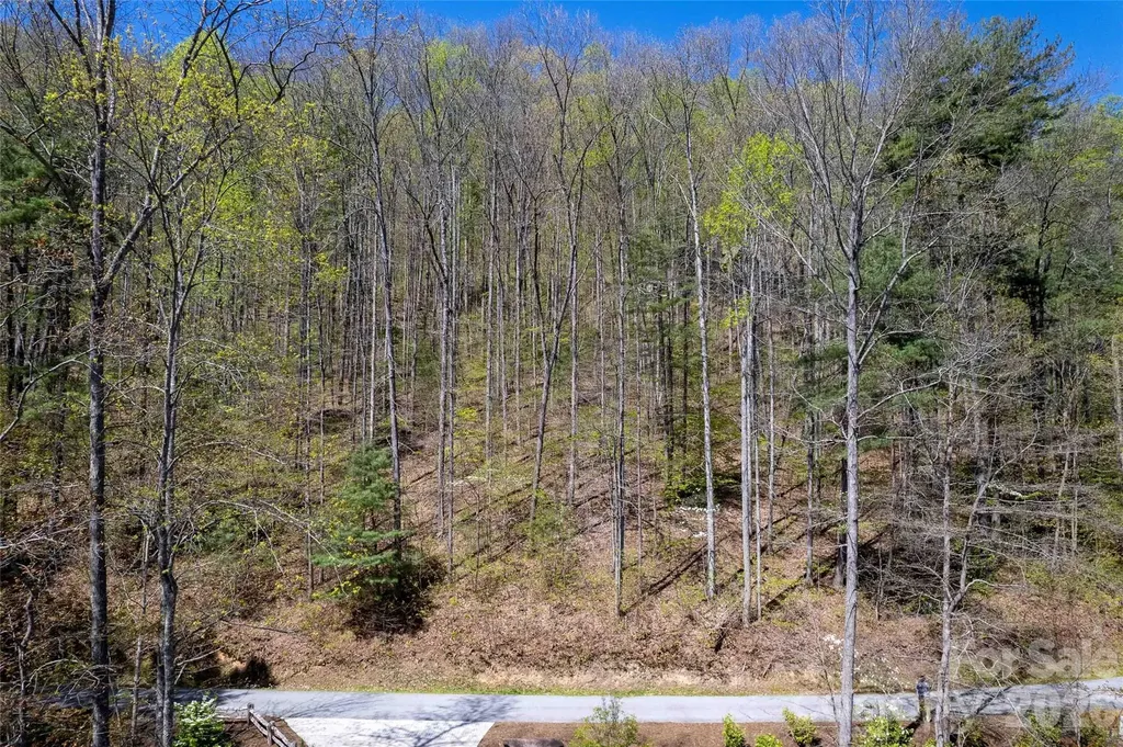 Lot 277 Pepperbush Lane Tuckasegee NC 28783