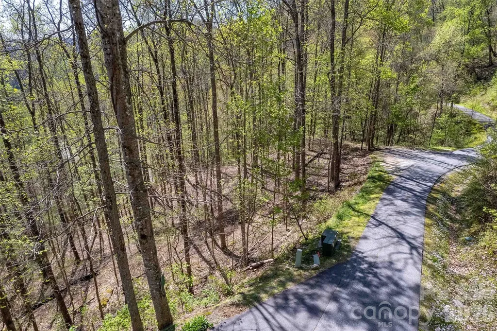 Lot 277 Pepperbush Lane Tuckasegee NC 28783
