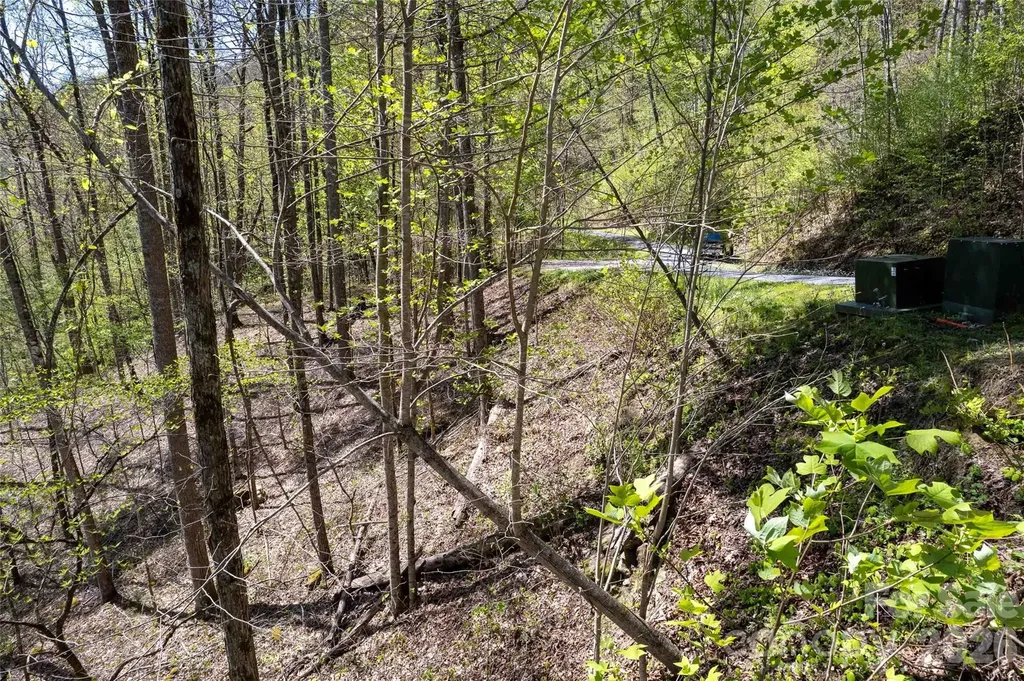 Lot 277 Pepperbush Lane Tuckasegee NC 28783