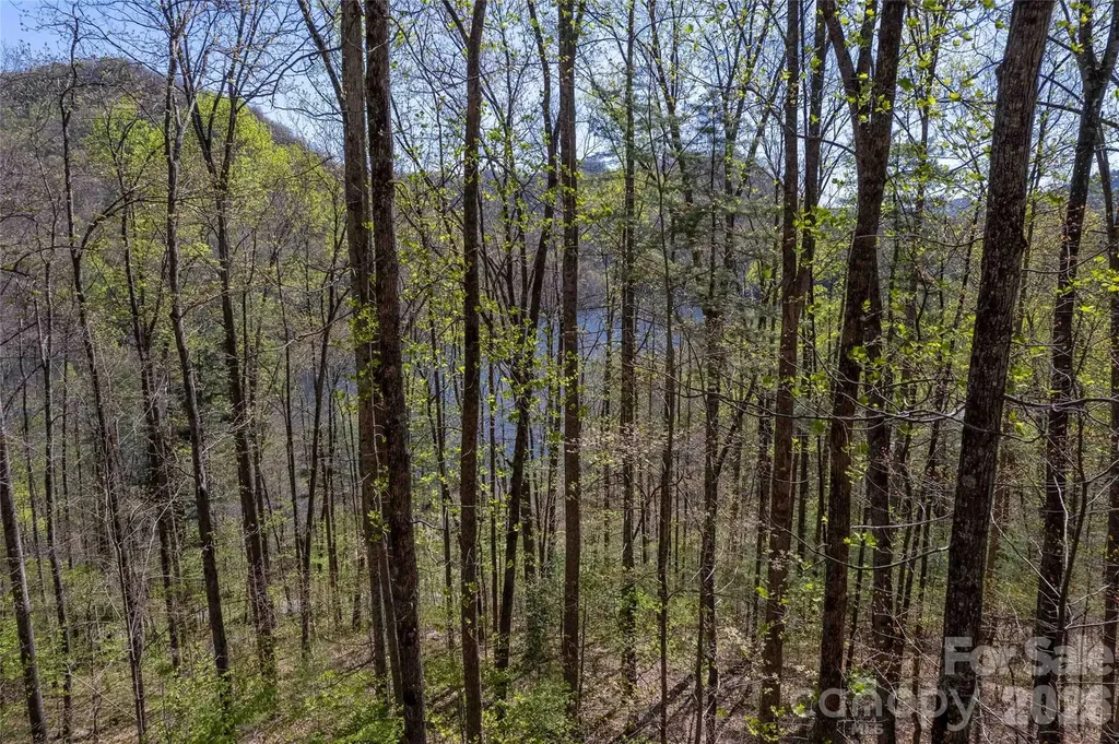 Lot 277 Pepperbush Lane Tuckasegee NC 28783