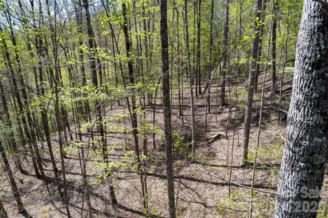 Lot 277 Pepperbush Lane Tuckasegee NC 28783