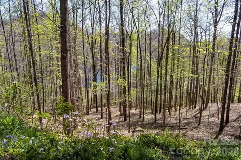 Lot 277 Pepperbush Lane Tuckasegee NC 28783