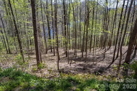 Lot 277 Pepperbush Lane Tuckasegee NC 28783