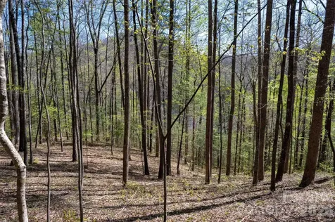 Lot 277 Pepperbush Lane Tuckasegee NC 28783