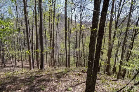 Lot 277 Pepperbush Lane Tuckasegee NC 28783