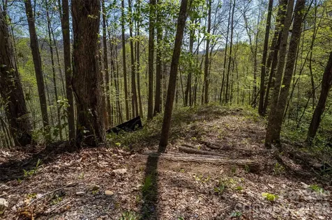 Lot 277 Pepperbush Lane Tuckasegee NC 28783