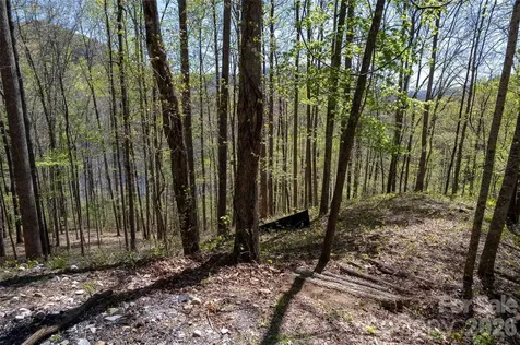 Lot 277 Pepperbush Lane Tuckasegee NC 28783