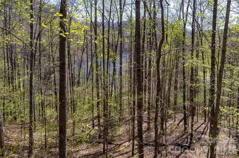 Lot 277 Pepperbush Lane Tuckasegee NC 28783