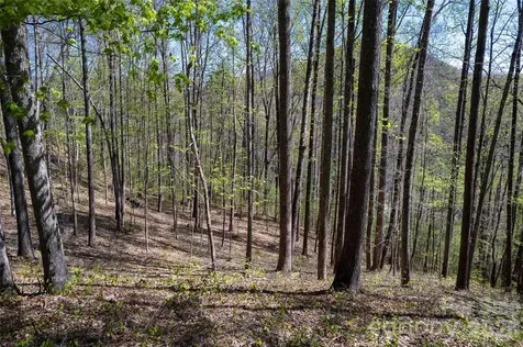 Lot 277 Pepperbush Lane Tuckasegee NC 28783