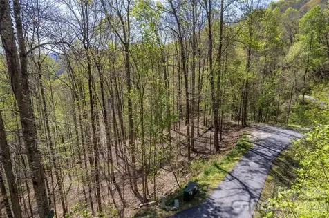Lot 277 Pepperbush Lane Tuckasegee NC 28783