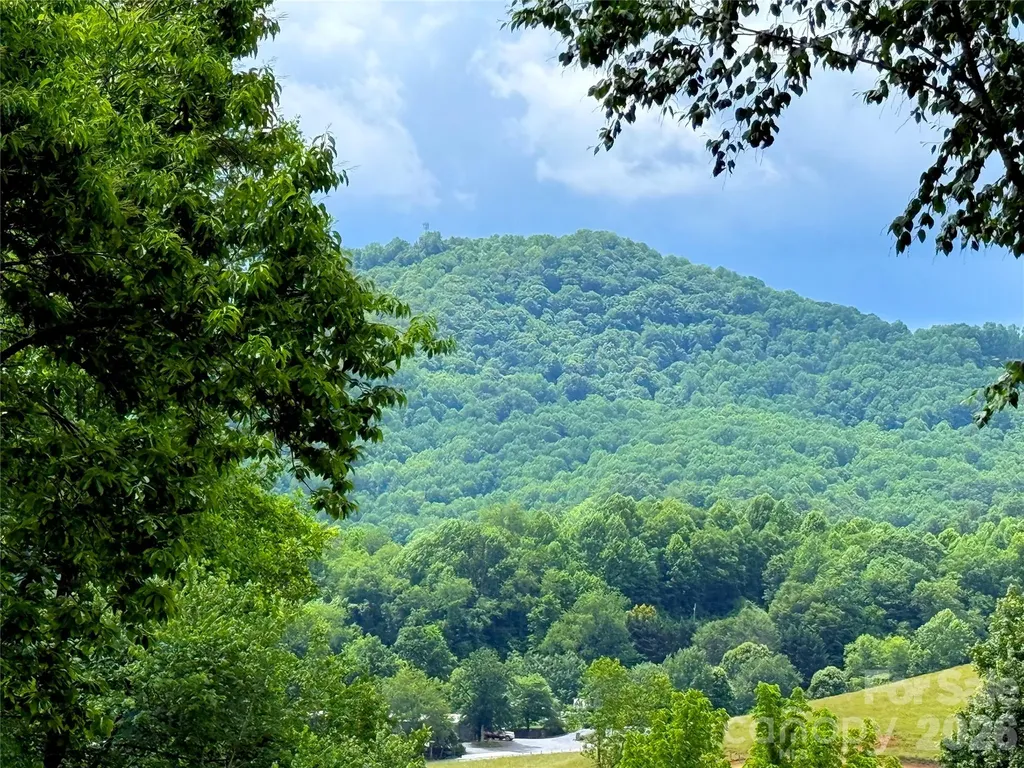 170 Cradling Cove Waynesville NC 28785