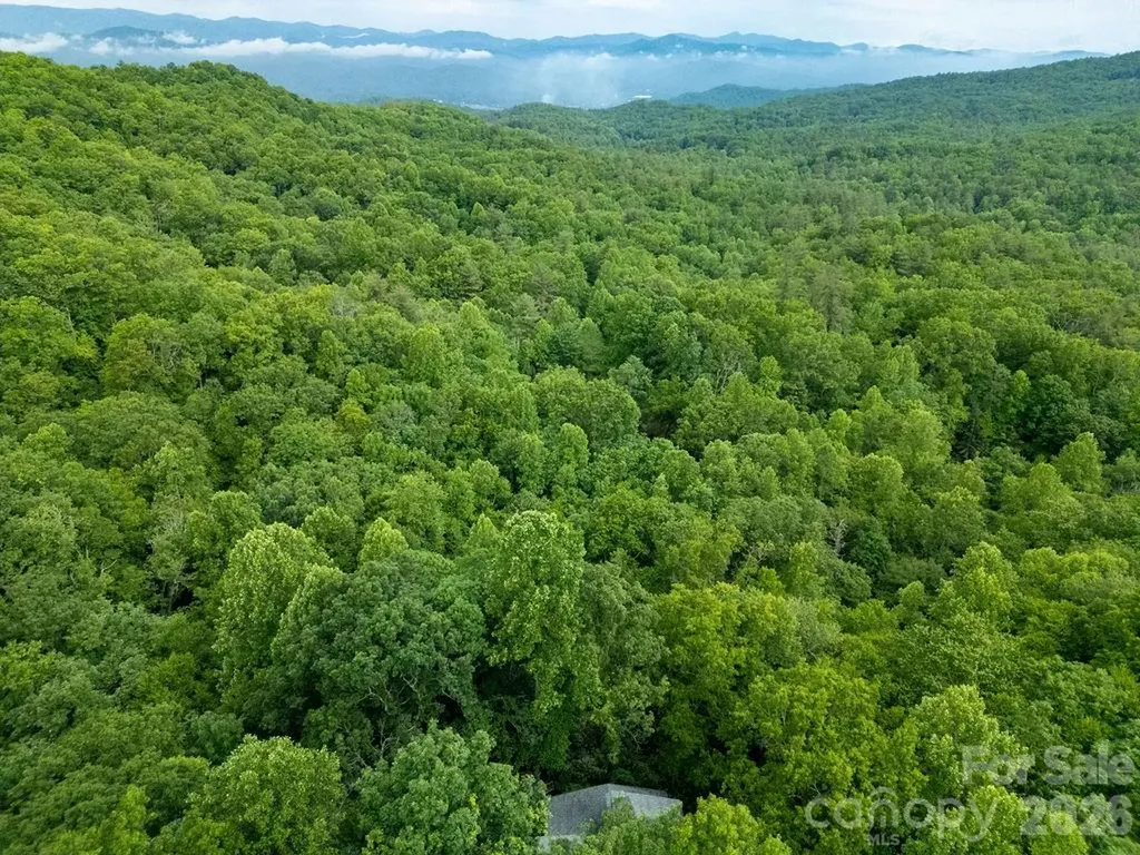 118 Little Bear Lane Pisgah Forest NC 28768