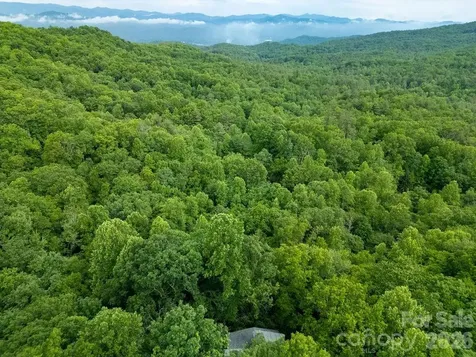 118 Little Bear Lane Pisgah Forest NC 28768
