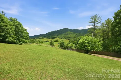 168 Barefoot Cove Burnsville NC 28714