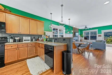 31 Byrdcliffe Lane Asheville NC 28805