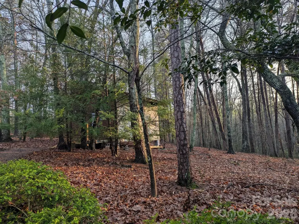 675 Fox Run Lane Tryon NC 28782