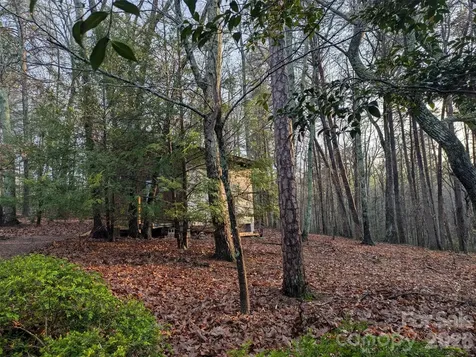 675 Fox Run Lane Tryon NC 28782