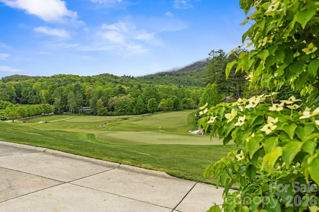 Tbd Hickory Shaft Drive Sapphire NC 28774
