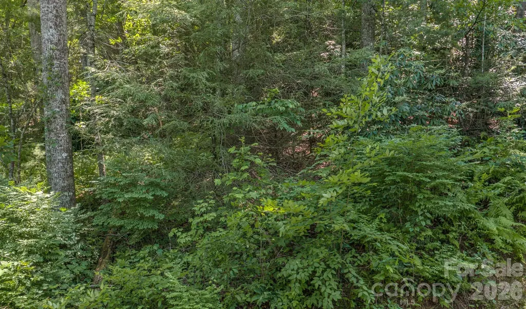 00 Woodlyn Etch Drive Hendersonville NC 28792