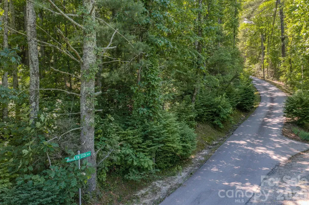 00 Woodlyn Etch Drive Hendersonville NC 28792