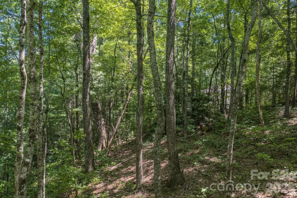 00 Woodlyn Etch Drive Hendersonville NC 28792