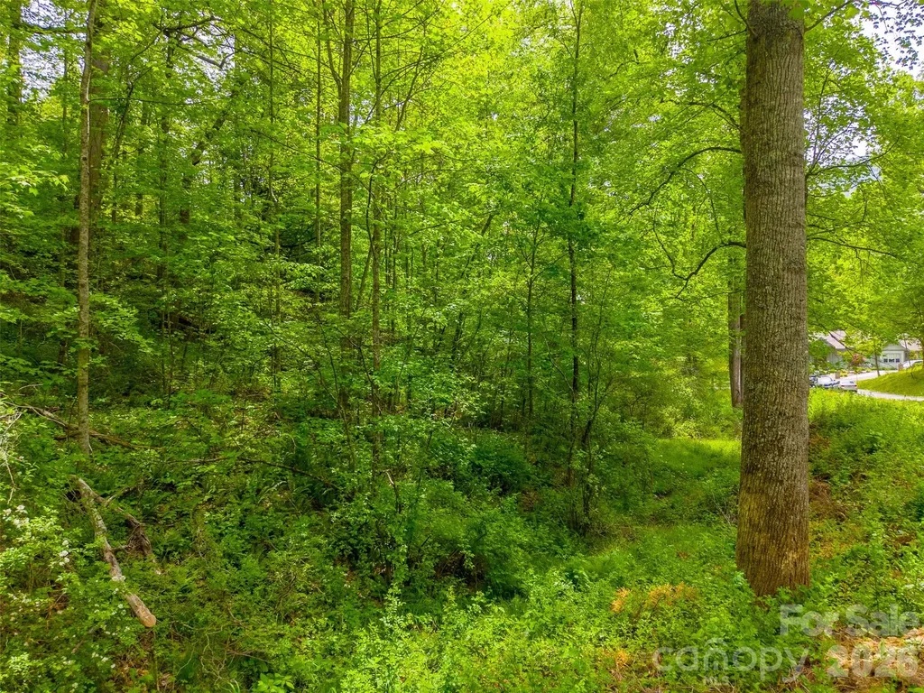 Lt 27 Peak View Lane Waynesville NC 28785
