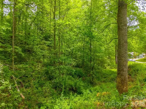 Lt 27 Peak View Lane Waynesville NC 28785