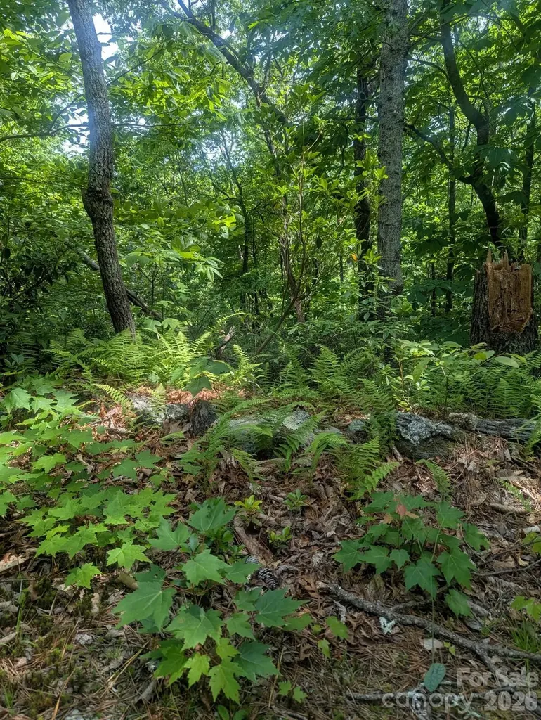 1662 Penley Road Lenoir NC 28645