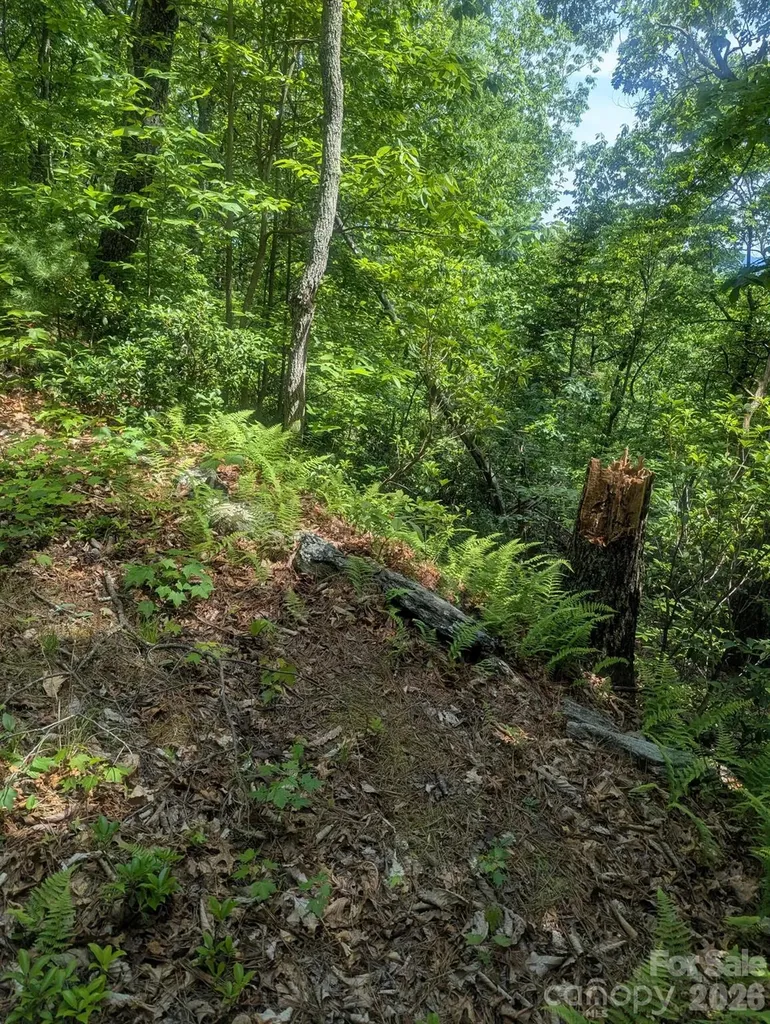 1662 Penley Road Lenoir NC 28645