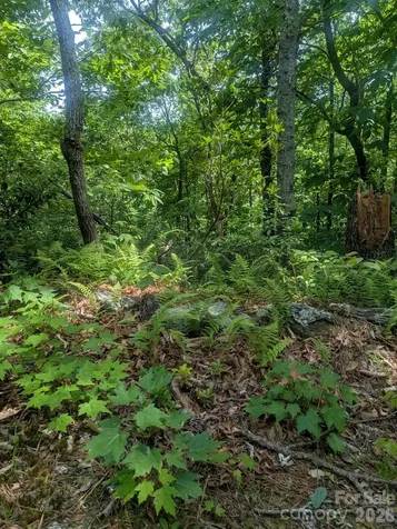 1662 Penley Road Lenoir NC 28645