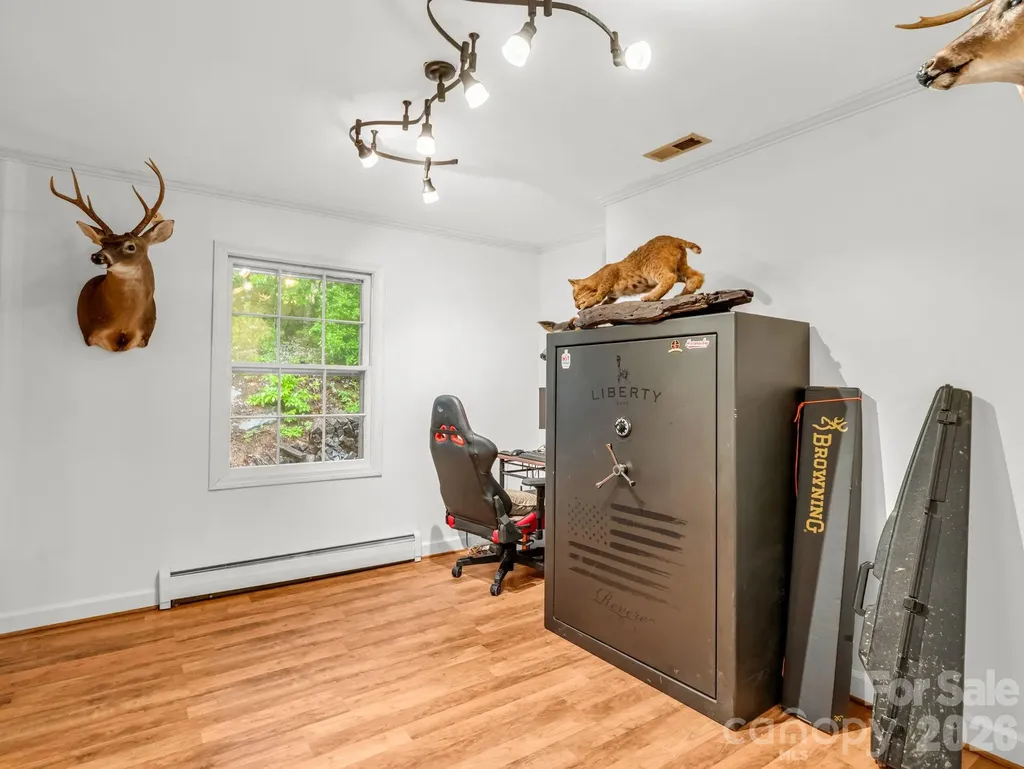679 Solomon Jones Road Cedar Mountain NC 28718