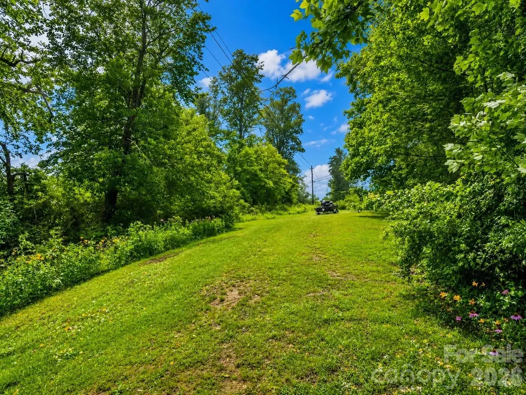 679 Solomon Jones Road Cedar Mountain NC 28718